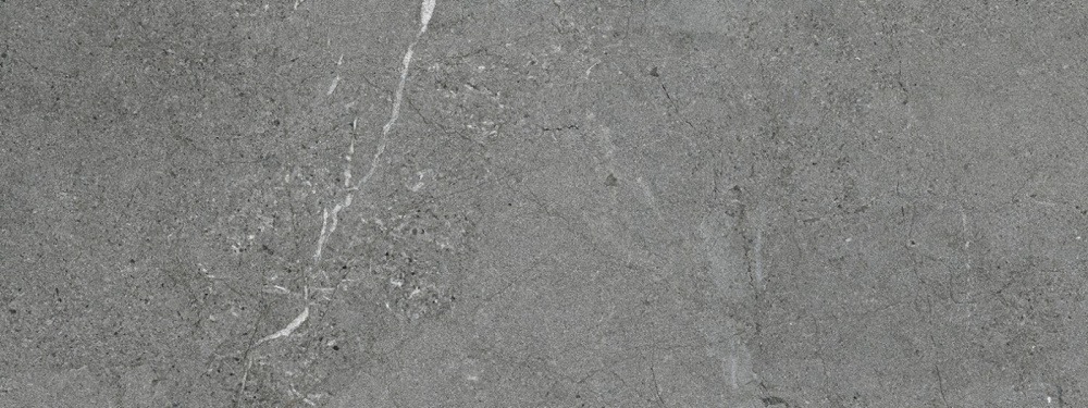 PORCELANOSA SILVER 45х120
